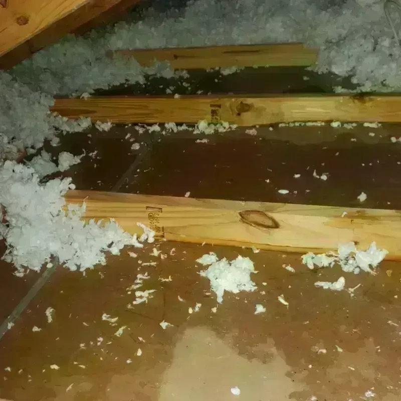 Attic Water Damage in Evansville, WI