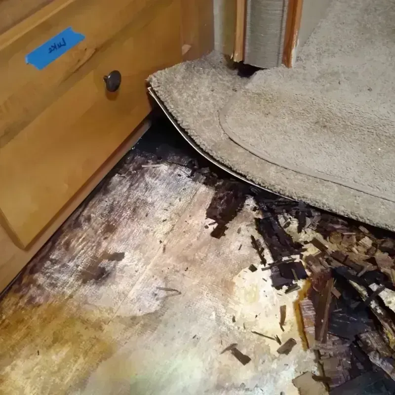 Wood Floor Water Damage in Evansville, WI